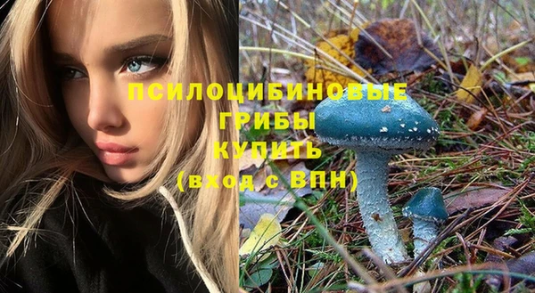 дурь Белокуриха