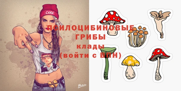 прущие крисы Балахна