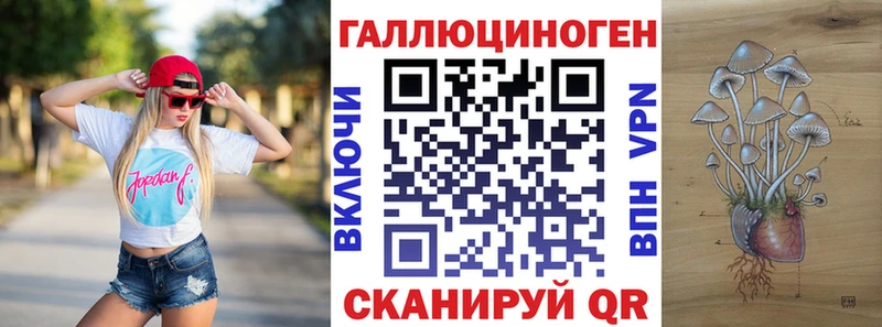 где купить наркотик  Красноармейск  hydra ТОР  Псилоцибиновые грибы Magic Shrooms 